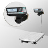 Весы товарные с печатью этикеток TB-S-32.2-RP1 