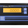 Весы платформенные ШТРИХ-МП 600-100.200 СГ2Ф1Д1 (Лайт с/ст)