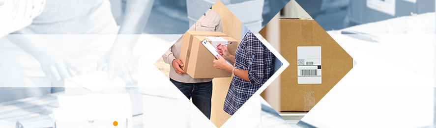 ТСД Newland в городе Пятигорск